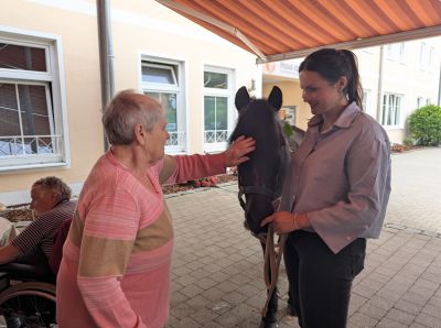 Ponybesuch auf unserer Terrasse – Bild 5